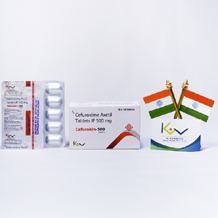pcd pharma franchise products